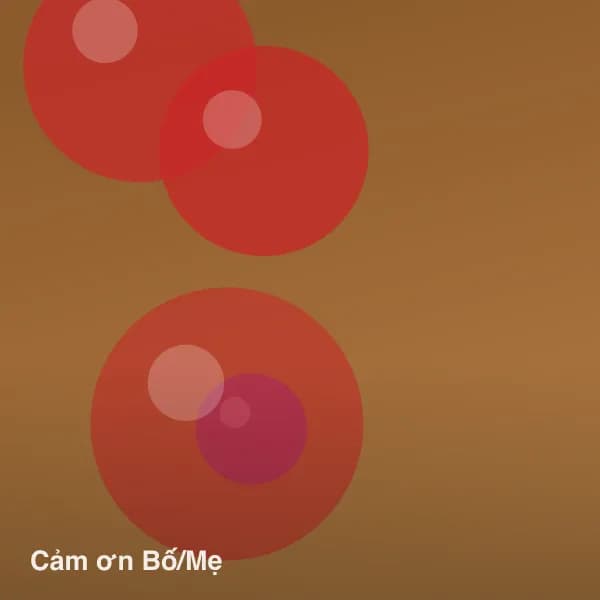 Cảm ơn Bố/Mẹ – Kiều Fruit