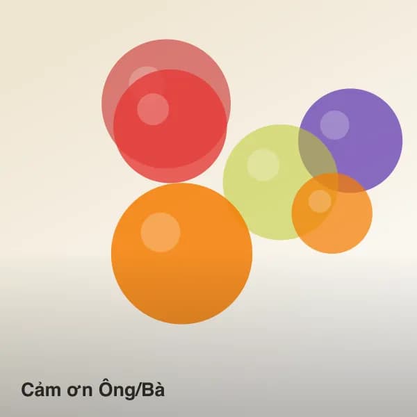 Cảm ơn Ông/Bà – Kiều Fruit